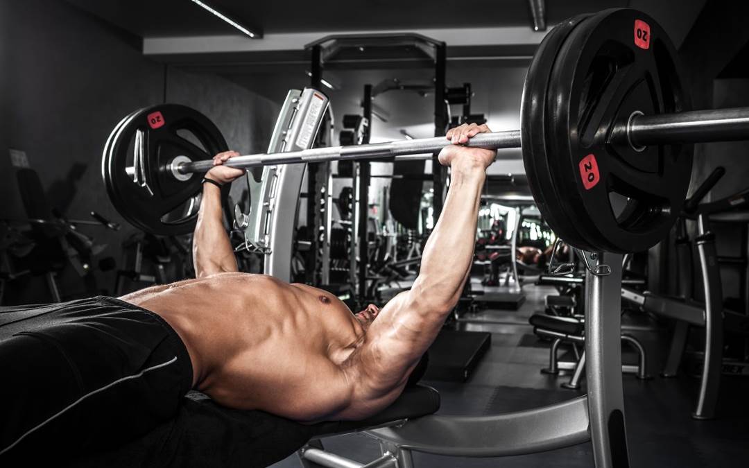 Başlangıç Seviyesi Antrenman Programı 1 Bench press one cikan gorsel