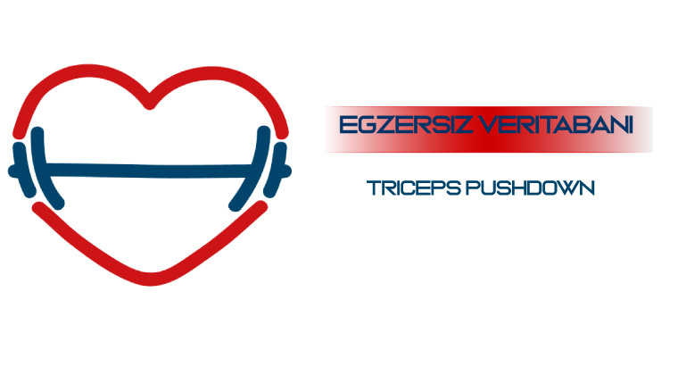 Triceps Pushdown 1 Triceps Pushdown