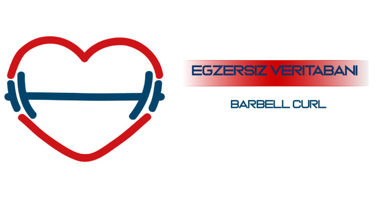 Barbell Curl 1 barbell curl egzersiz