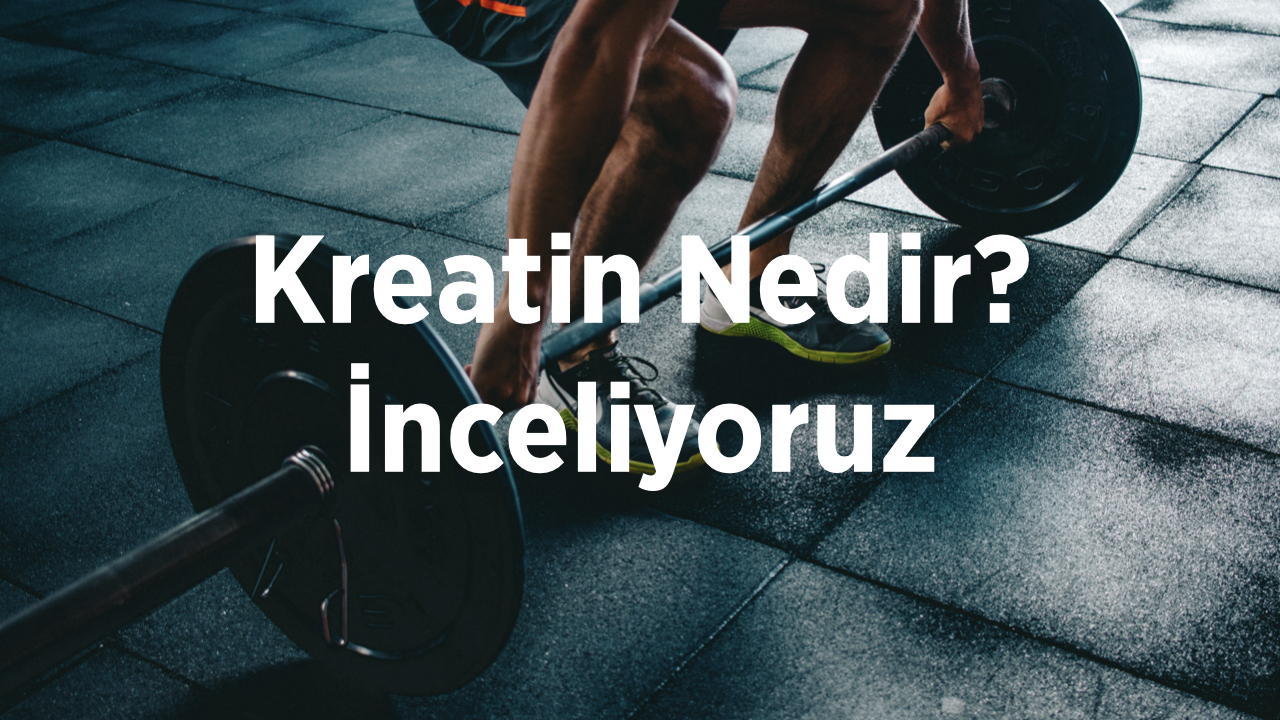 Kreatin Nedir? İnceleme (2023) 1 kreatin nedir