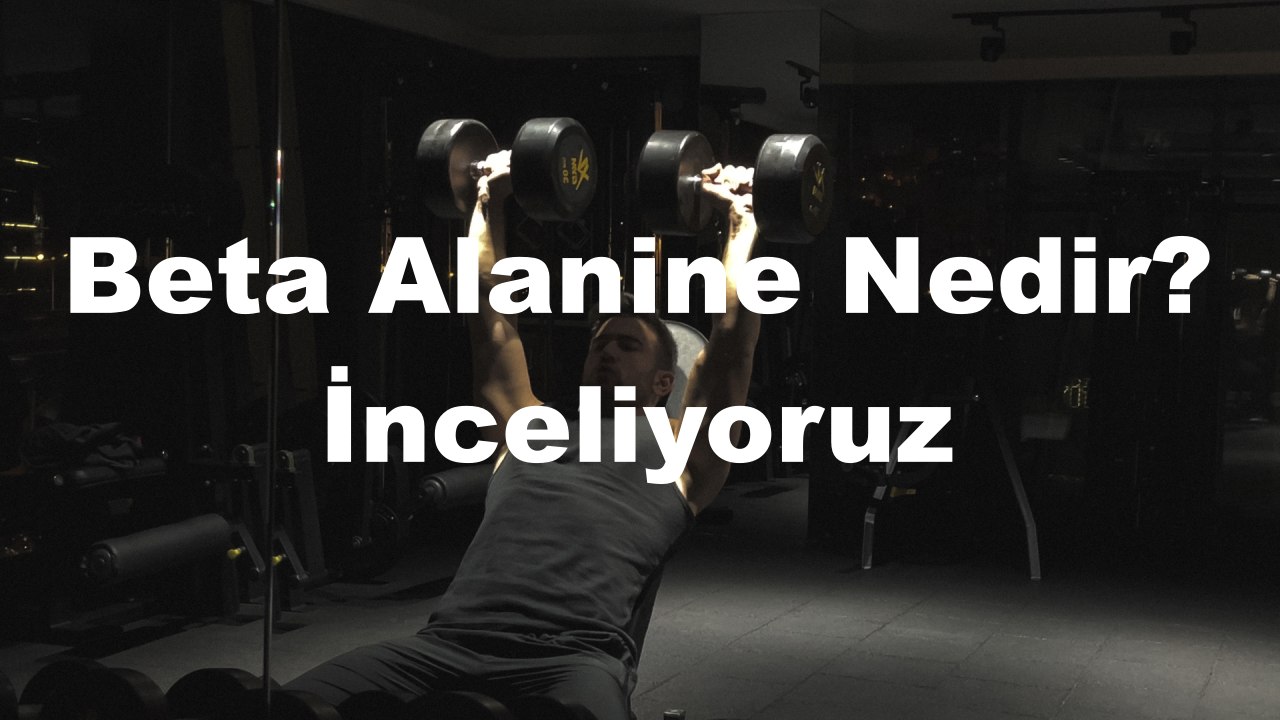 Beta Alanine Nedir? İnceliyoruz 1 Beta alanine