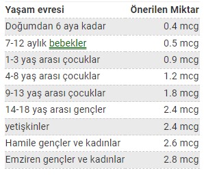 B12 Vitamini Nedir ve Ne İşe Yarar? 2 B12 ihtiyacı