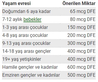 Folat Nedir ve Ne İşe Yarar? 2 Günlük Folat Gereksinimi